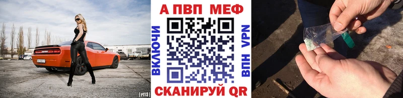 Альфа ПВП СК КРИС Бакал
