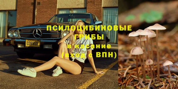 2c-b Нестеровская