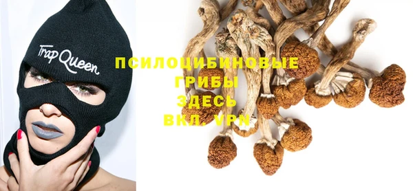 прущая мука Фёдоровский