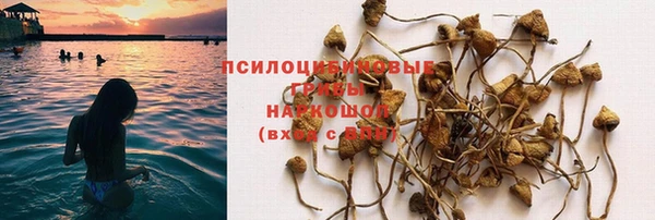 spice Алексин