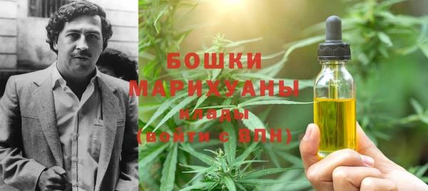 spice Алексин