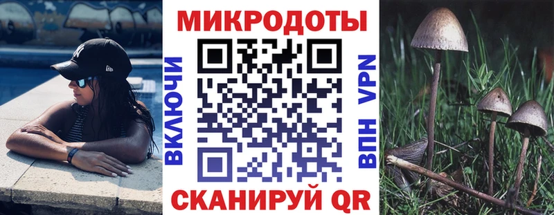 купить   Бакал  Галлюциногенные грибы мухоморы 